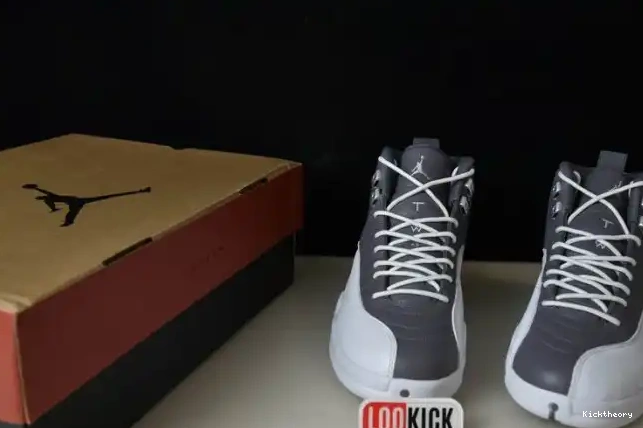 Kick Theory 12 AIR CT8025-610 STEALTH JORDAN 0521